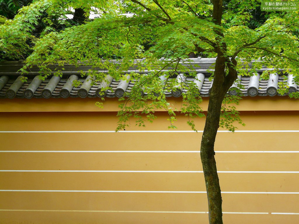 金閣寺壁紙no 30 京都の壁紙ドットコム